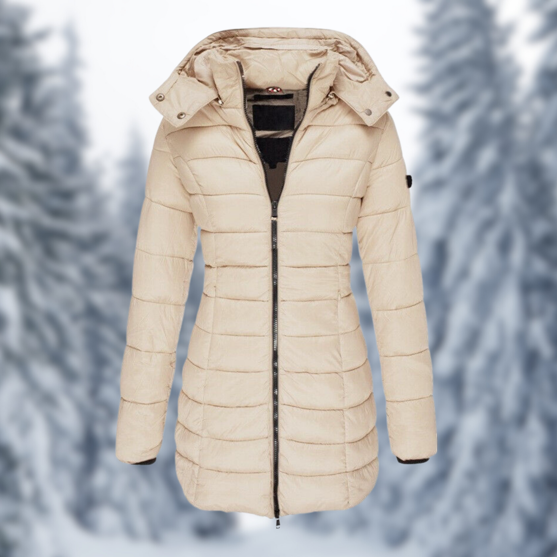 Stijlvolle Winterjas voor Dames – Perfect voor Koude Seizoenen