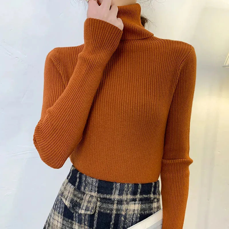 Een elegante coltrui voor dames voor een stijlvolle uitstraling.